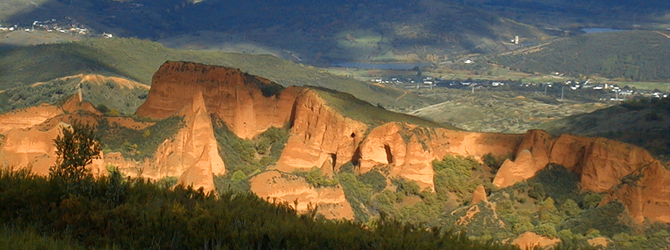 Imagen de un castaño