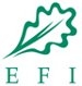 EFI