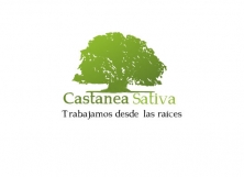 Viveros Castanea sativa