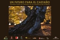 Presentado el libro ‘Un futuro para el castaño. Estudios sobre el castaño en la comarca de El Bierzo’